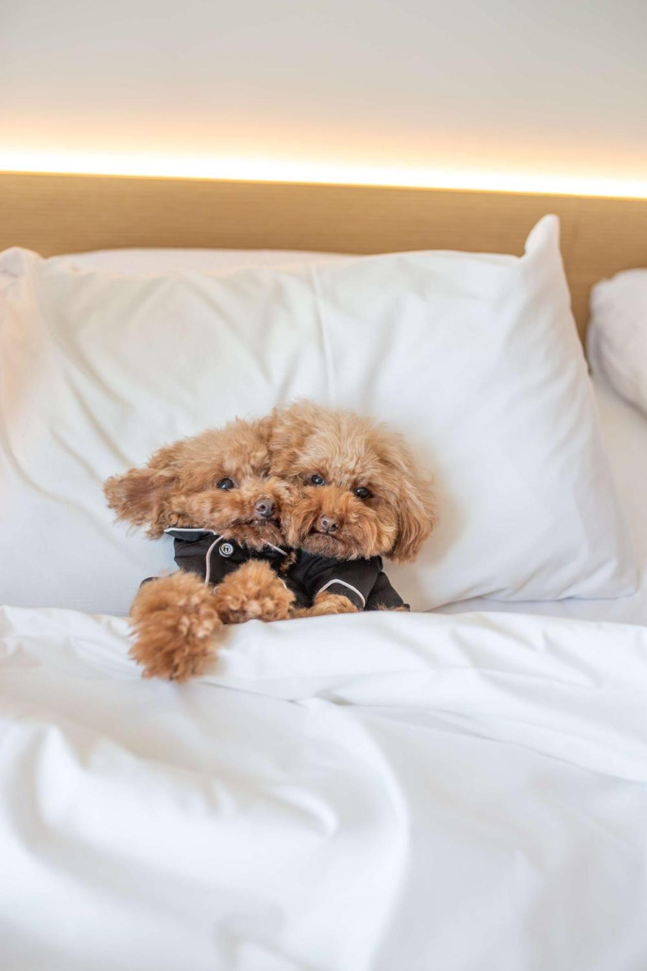 Hyatt Centric 5*