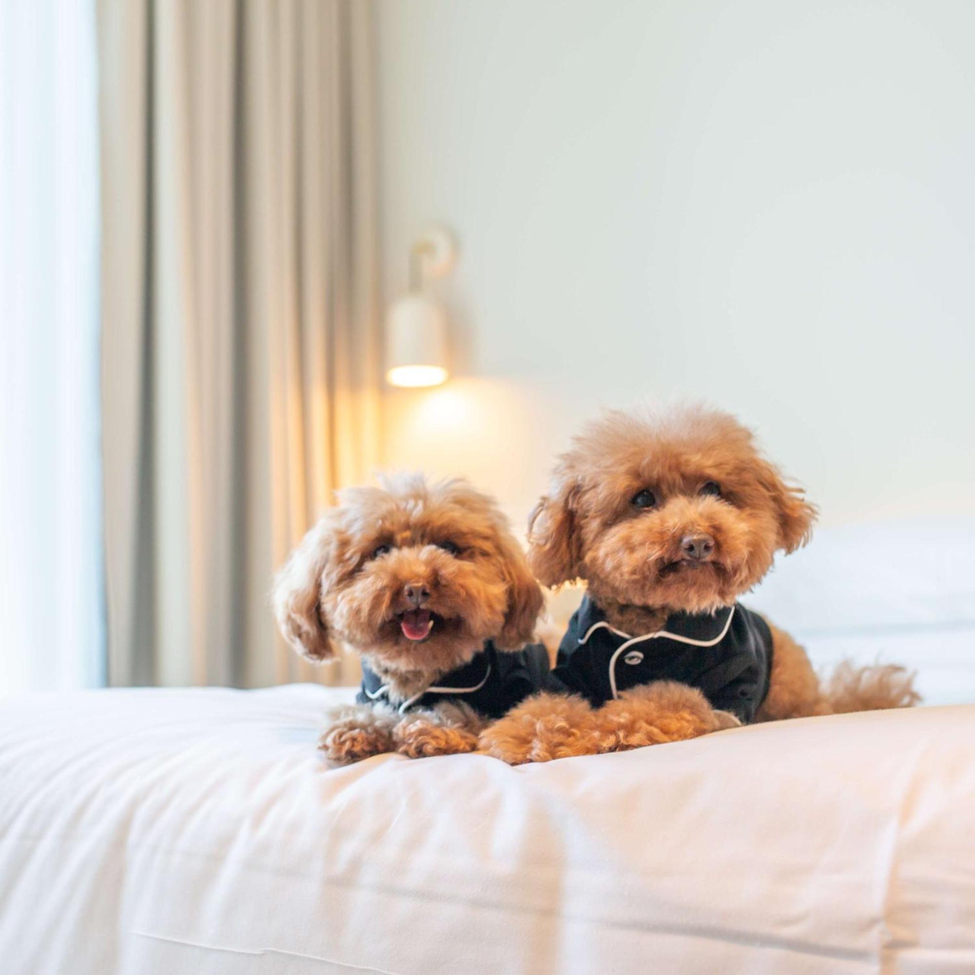 Hotel Hyatt Centric