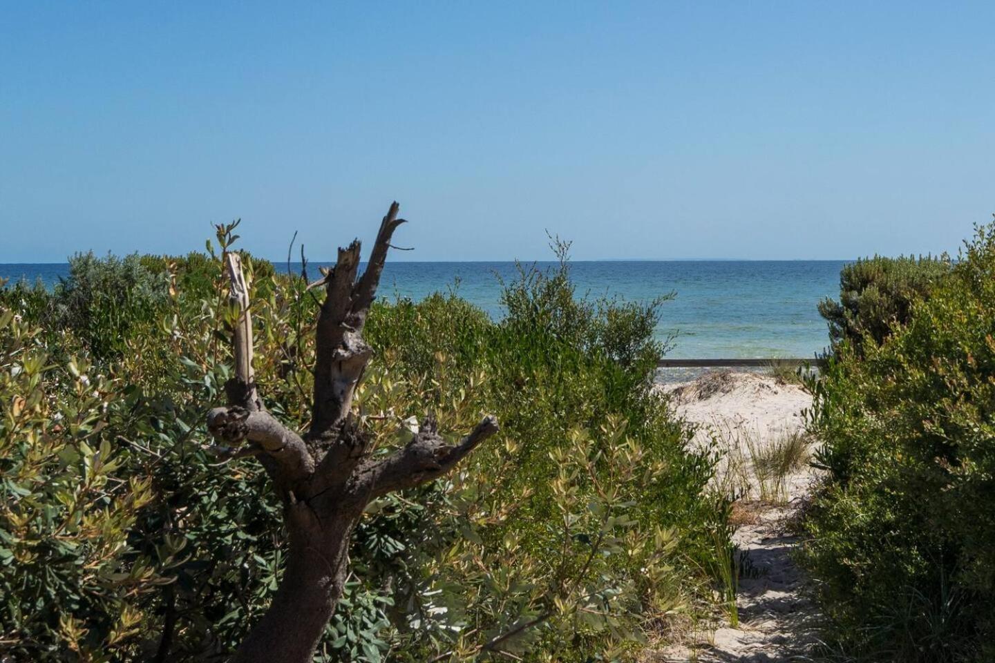 Ti Tree House - Live Like A Bonbeach Local * Melbourne