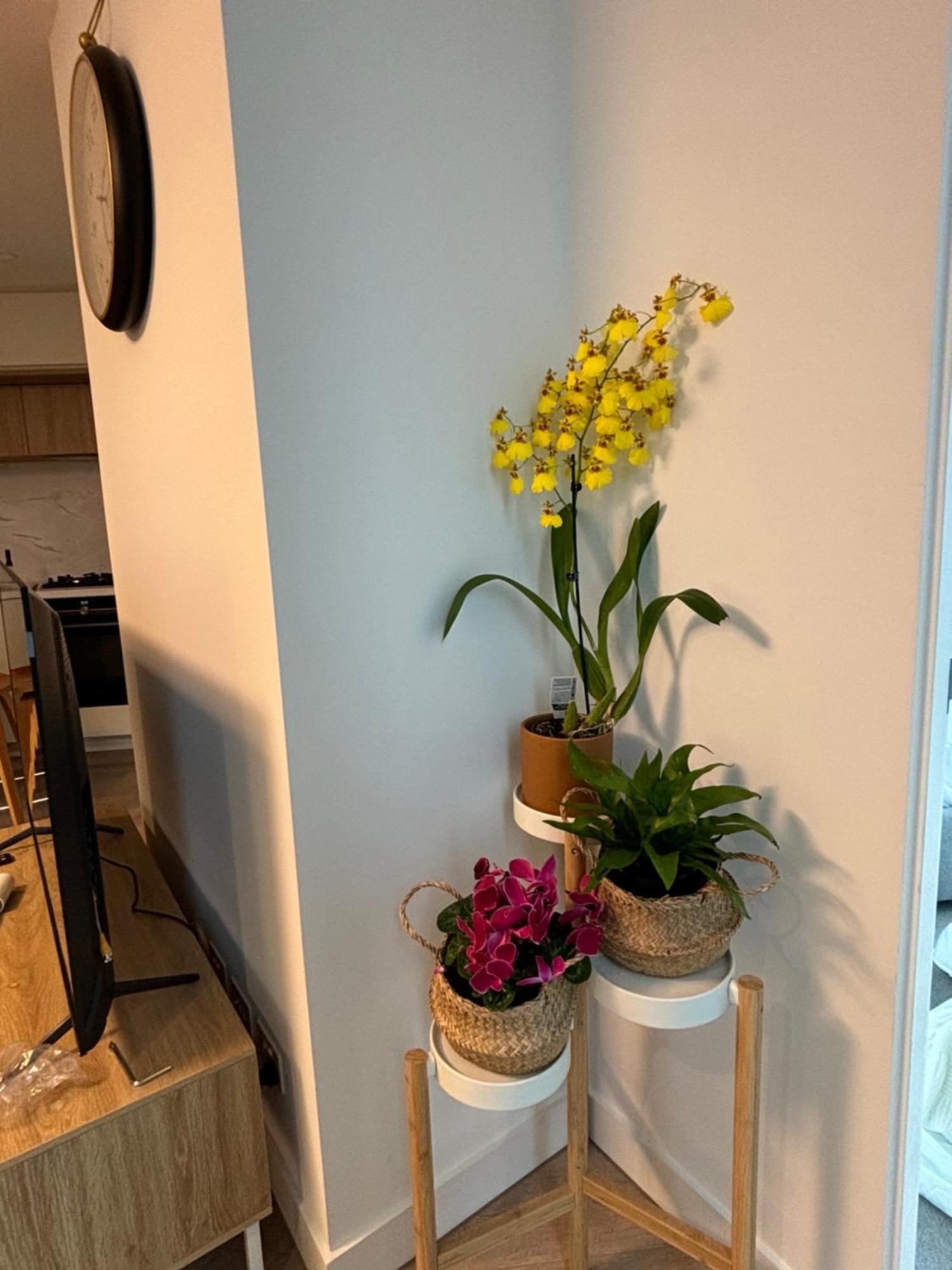Luxury 2br 2tb * Melbourne