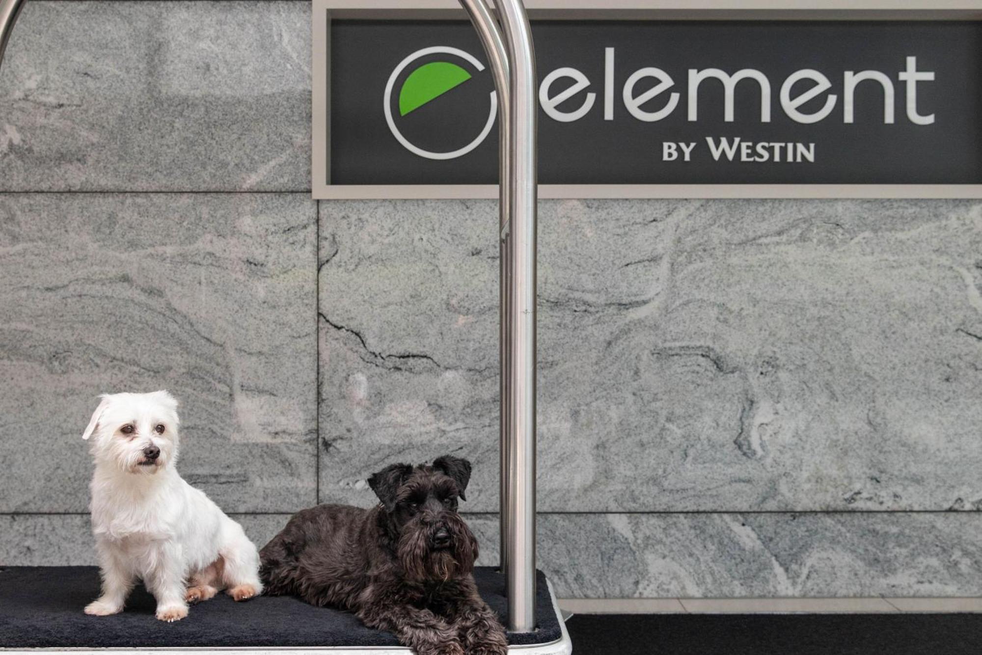 Element Richmond Hotel