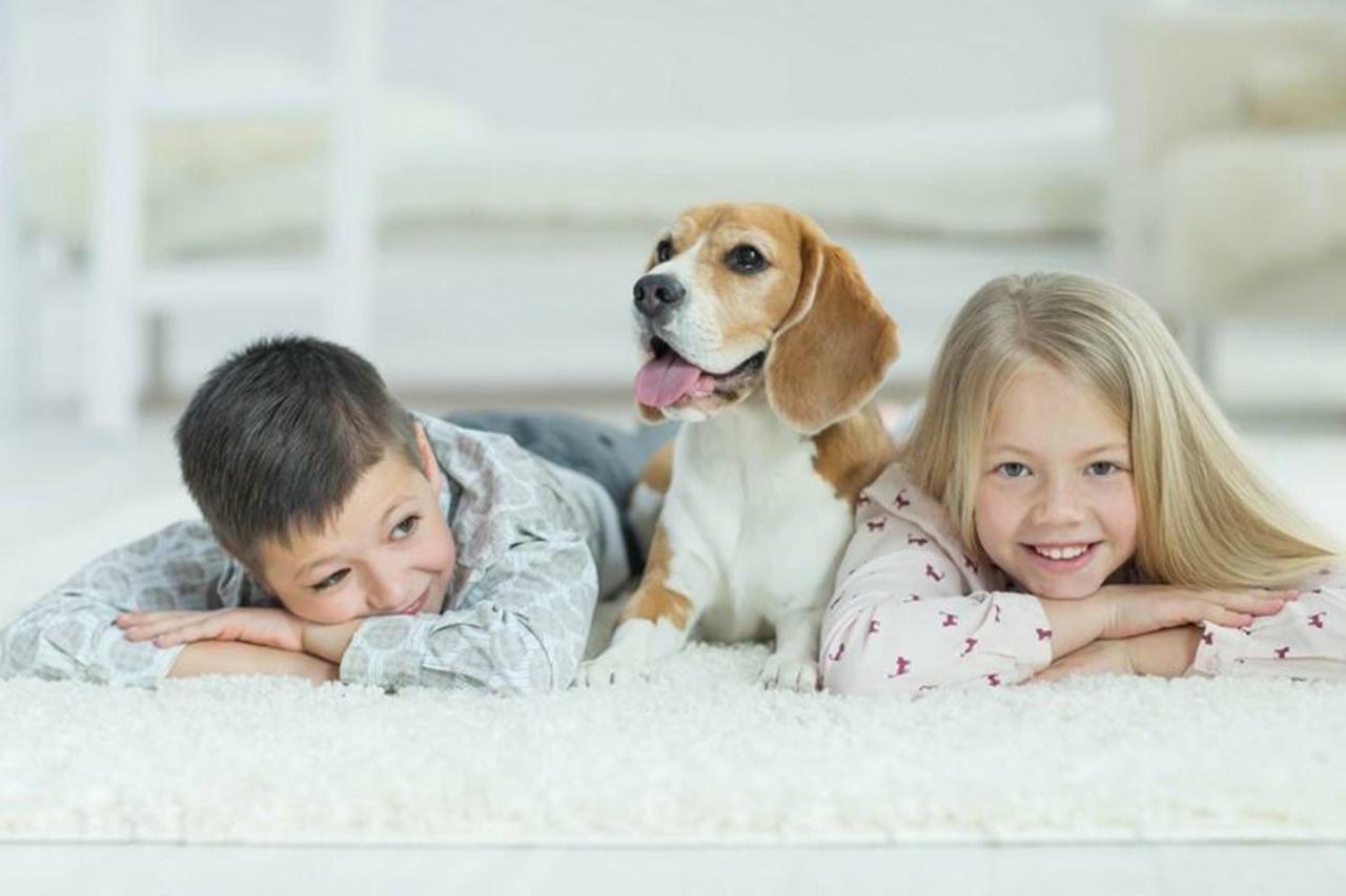 Boutique Stays - Elwood Hideaway Holiday home