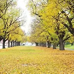 A Comfy & Cozy Apt In Clifton Hill Free Parking