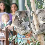 A 3Br Apt Next To Melbourne Zoo Free Parking
