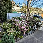 Riverside Haven On City Doorstep