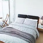Frangipanistays At 589E