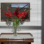 Prahran Village Guest House