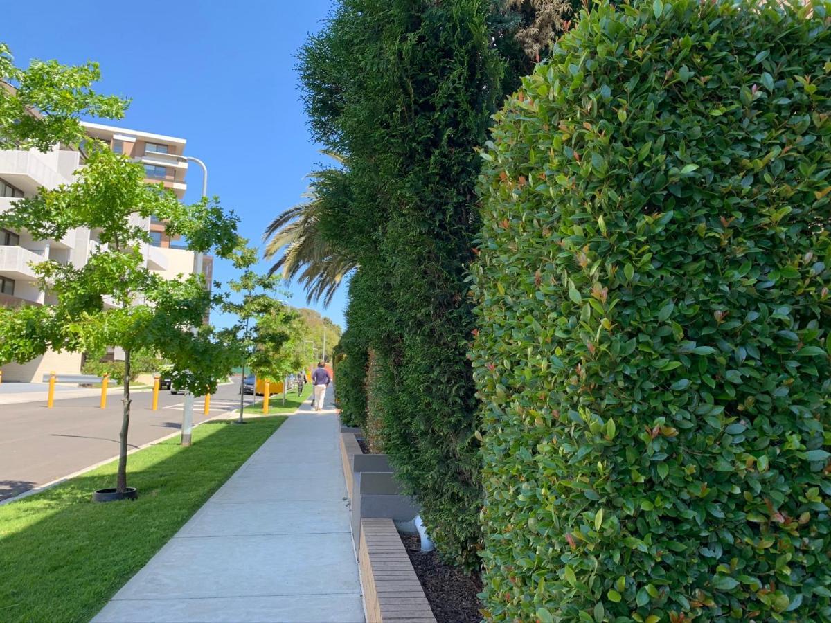 Royal Executive Living Caulfield Corporate Melbourne