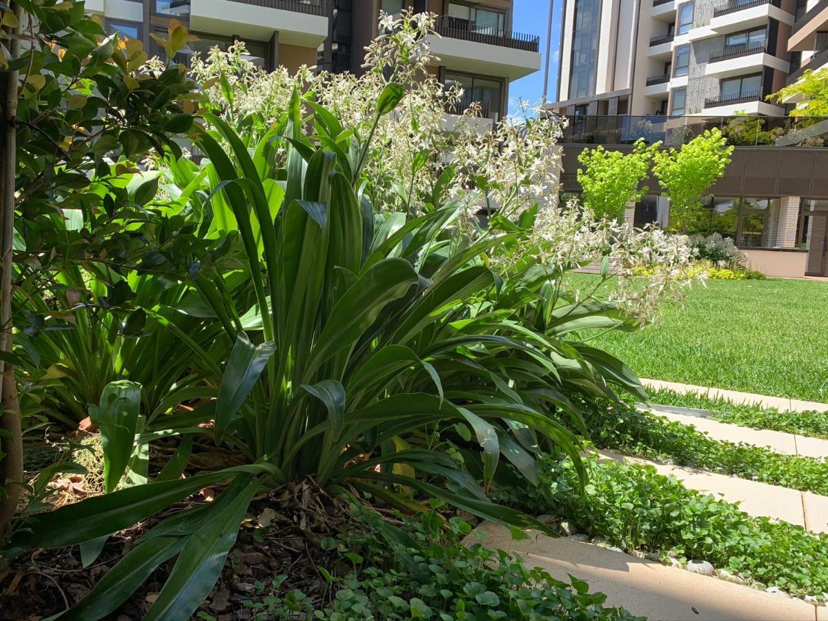 Royal Executive Living Caulfield Corporate