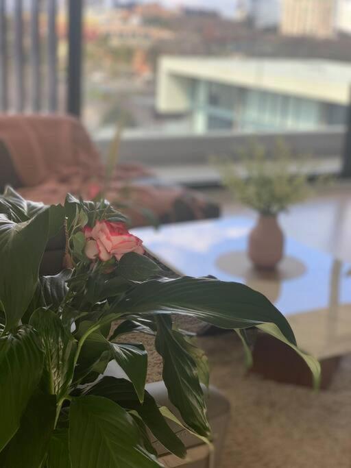 Apartment Carlton Stunning View 150m Away From University Of