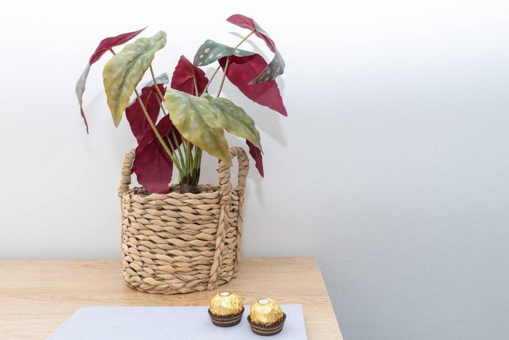 Sunny Days Getaway In The Heart Of East St Kilda