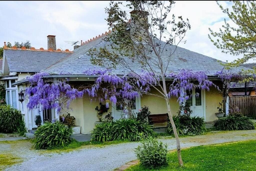 Outstanding Close To Melb Airport Apartment