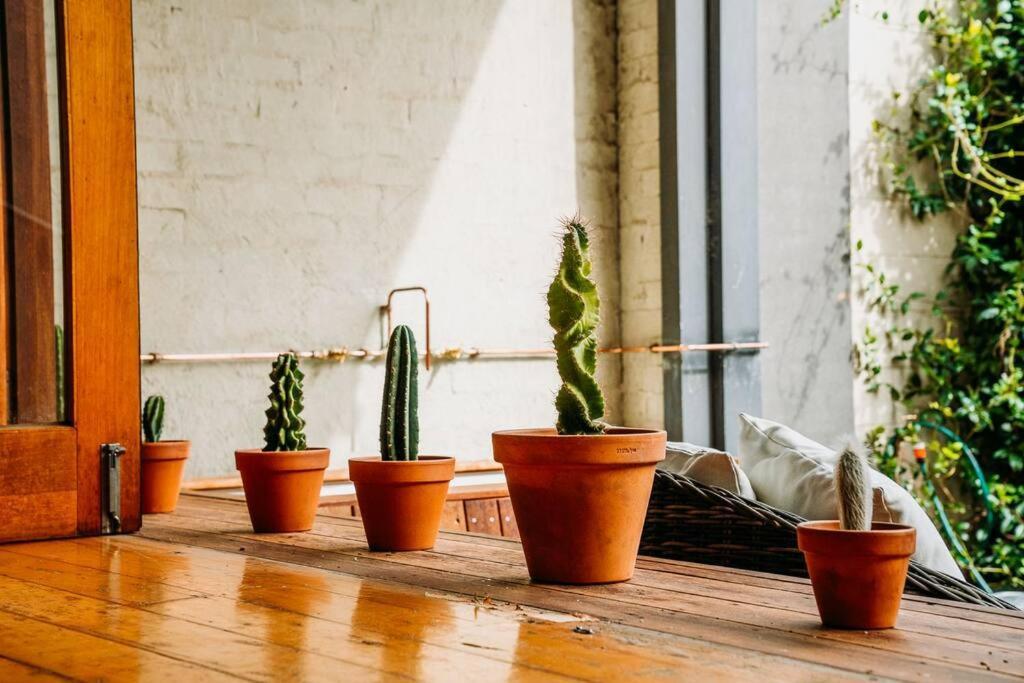 Jungle Warehouse - Bohemian Escape With A Bath! Apartment