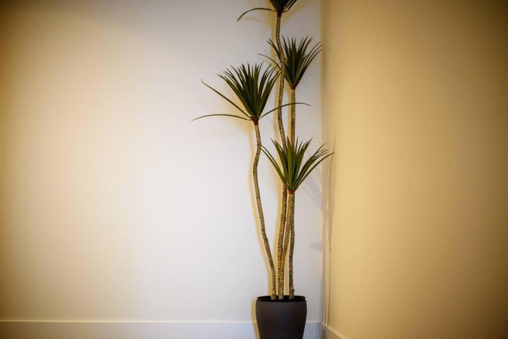 Apartment Exceptional Views 2bdr2bath Apt In Cbd Melbourne
