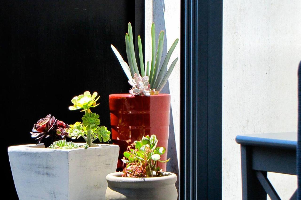 Apartment 'fitzroy Max' Easygoing Urban Pad Off Brunswick St Melbourne