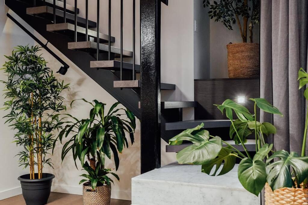 Apartment Delicated Loft In 2bed 2.5bath 2carpark *