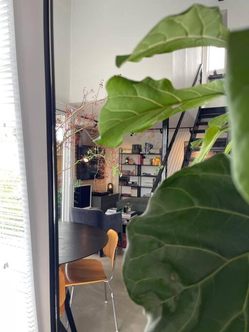 Designer Warehouse Conversion In Fitzroy - Parking Apartment