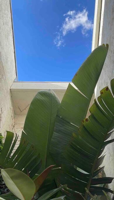 Designer Warehouse Conversion In Fitzroy - Parking Apartment *