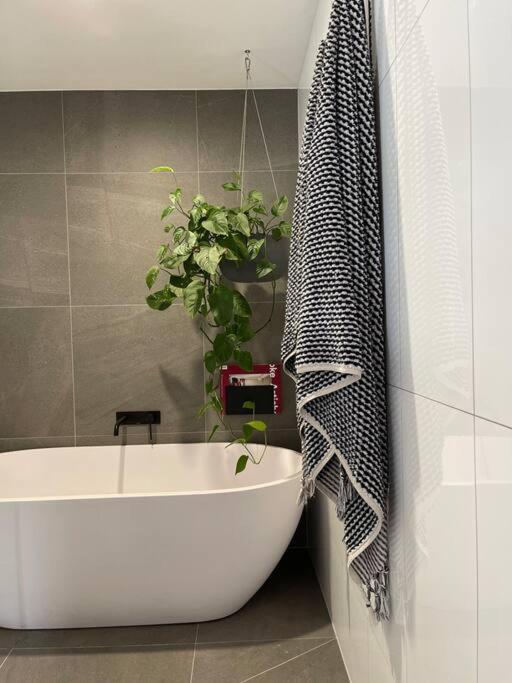 Designer Warehouse Conversion In Fitzroy - Parking Apartment