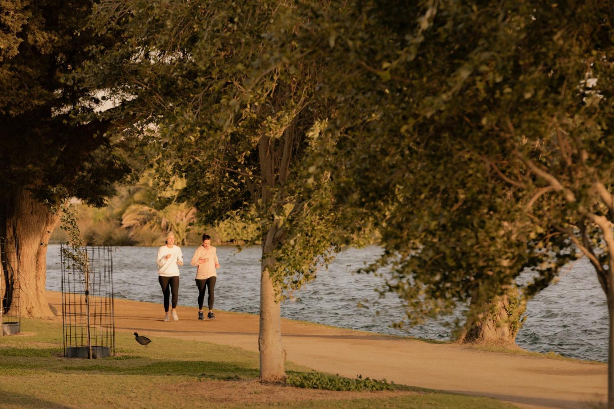 Mac Middle Park By Collection Melbourne