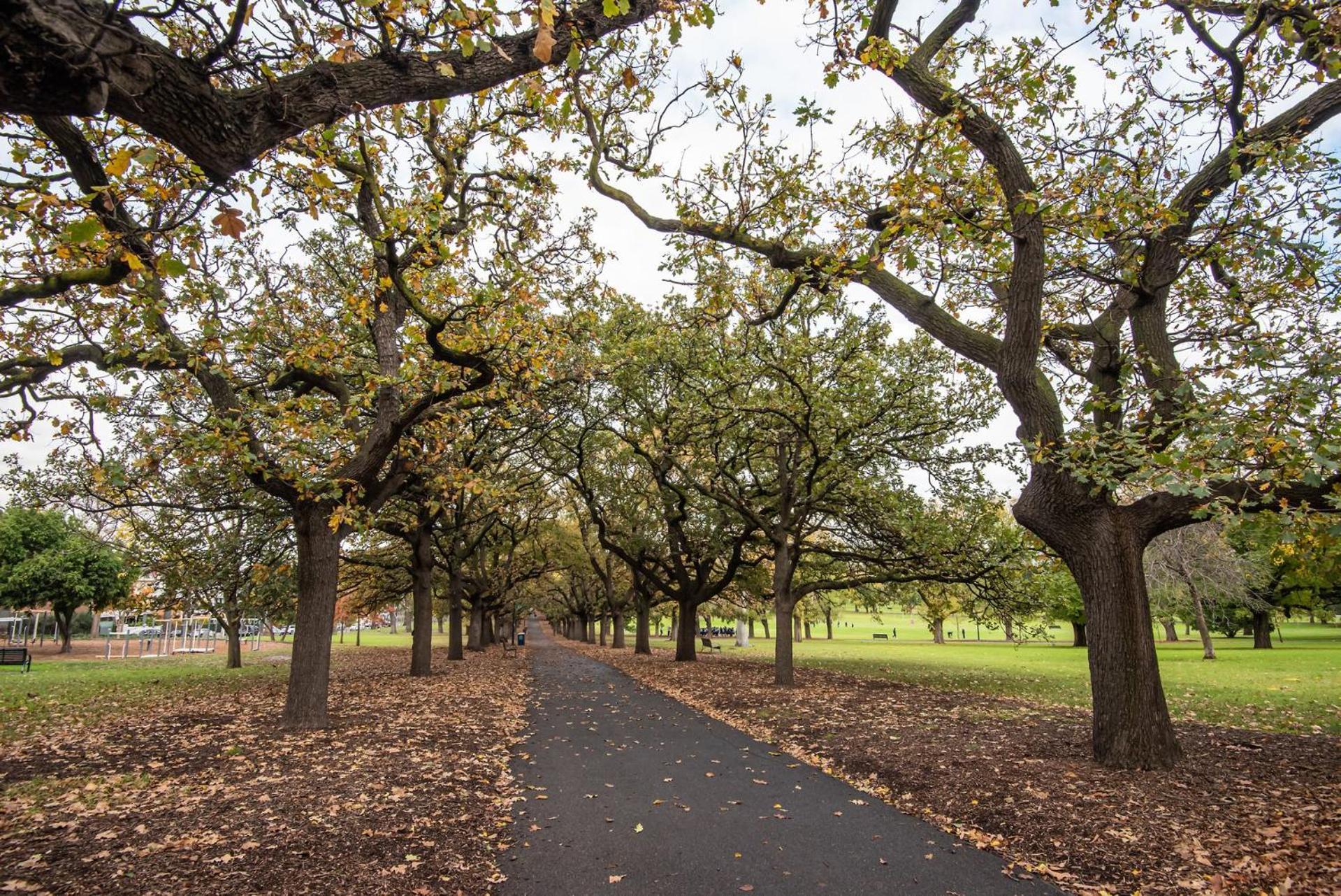 South Yarra Oasis Iconic Location * Melbourne