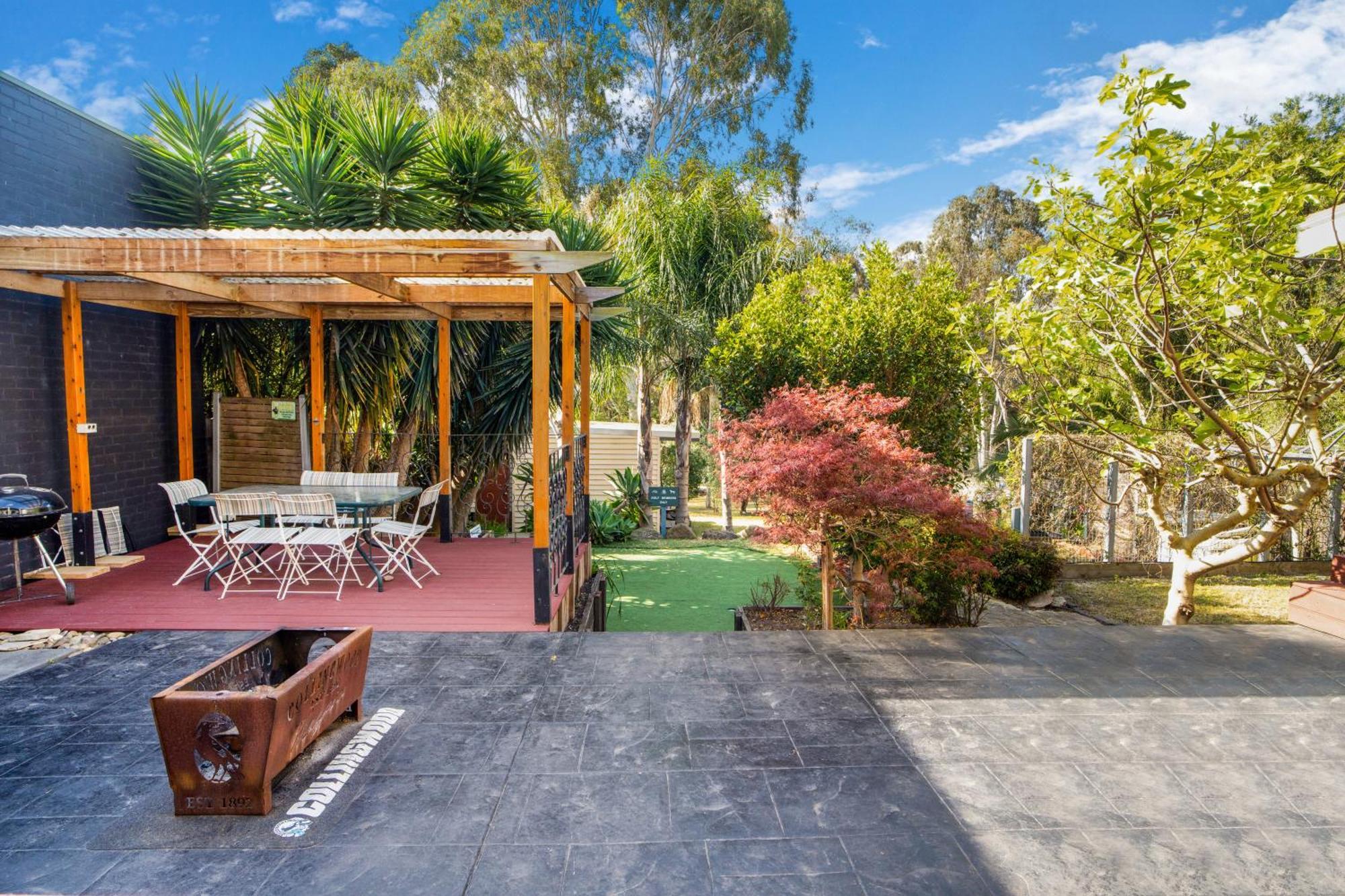 The Panoramic Tree View In