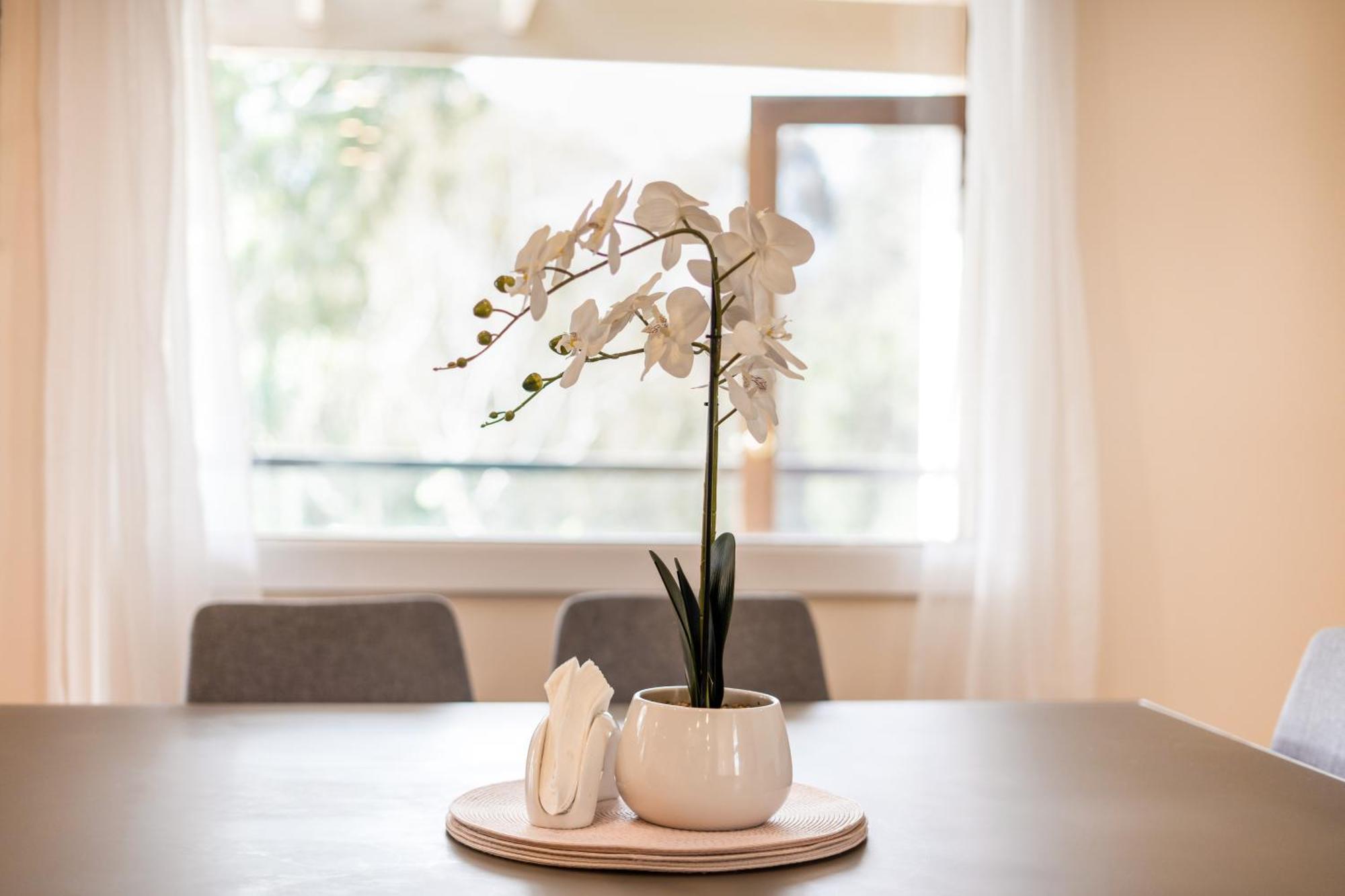 The Panoramic Tree View In Holiday home Melbourne