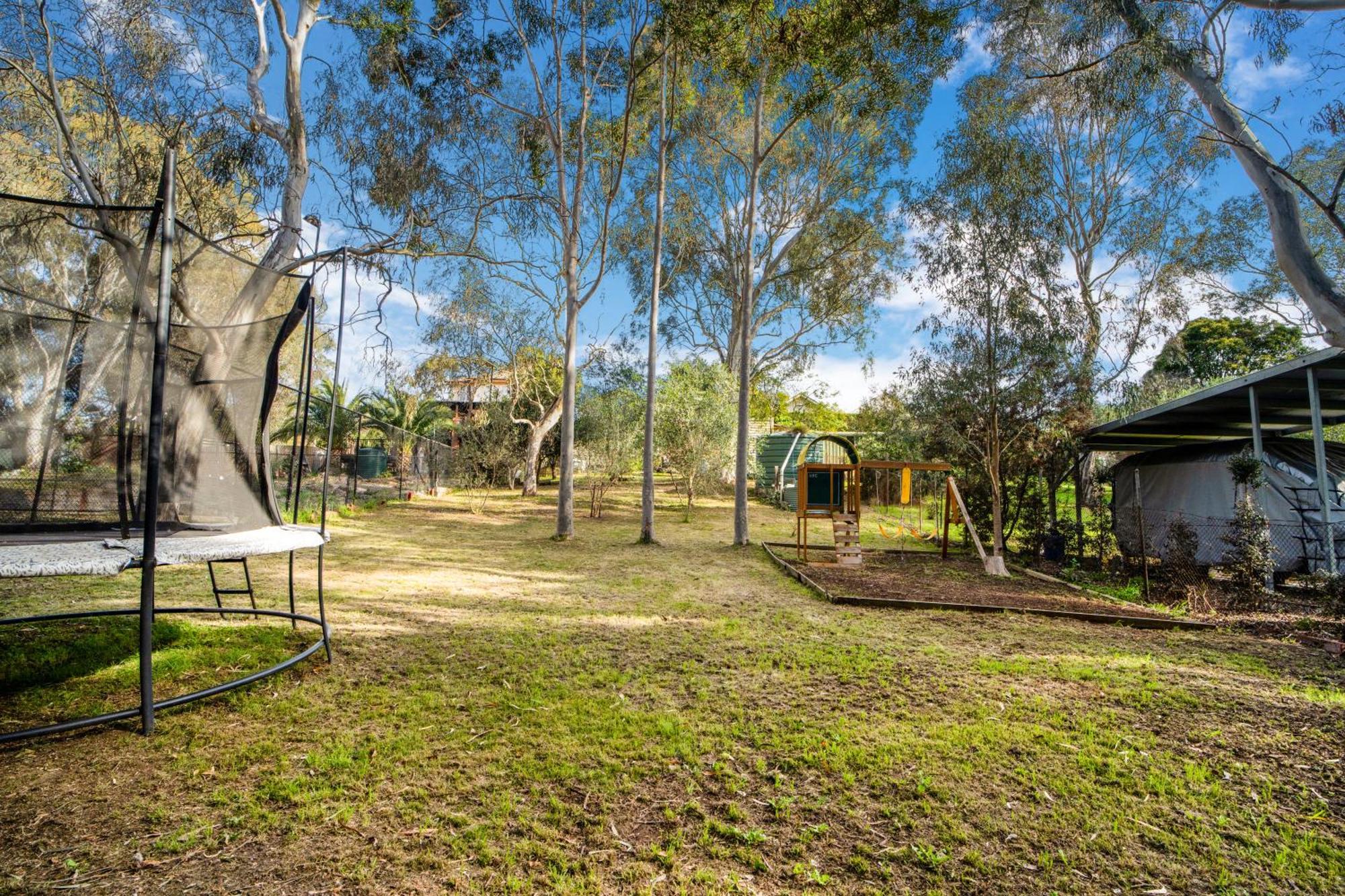 The Panoramic Tree View In *