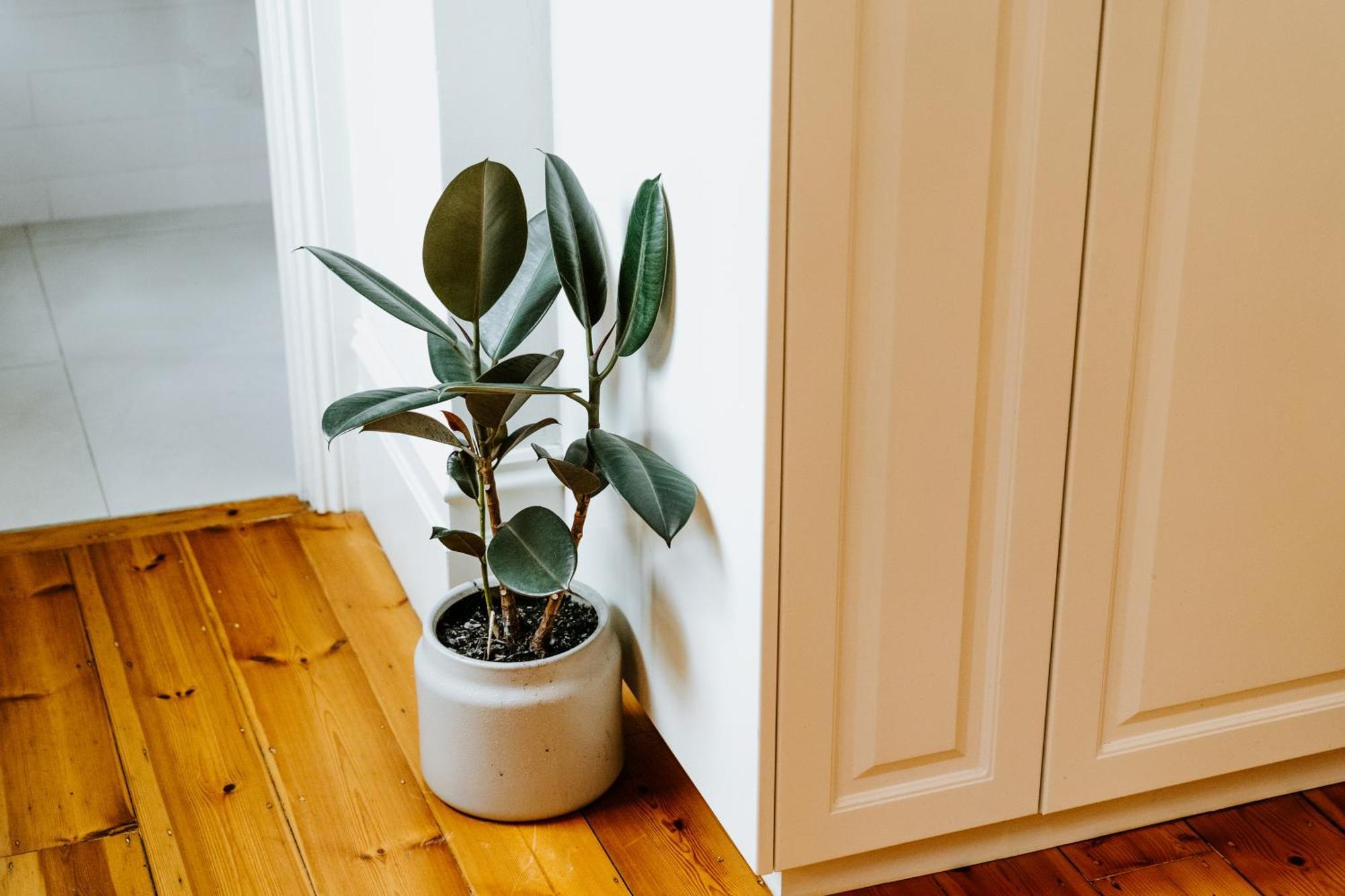 Luxe Escape On Flinders Lane With Jungle Bath! * Melbourne