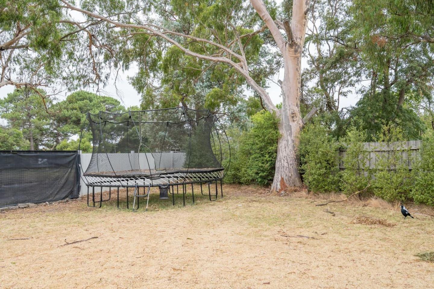 Uncover Mount Eliza's Charm From Local * Melbourne