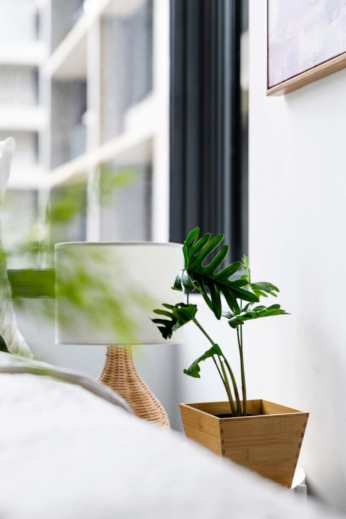 A Stylish Cbd Right Next To Southern Cross Apartment Melbourne