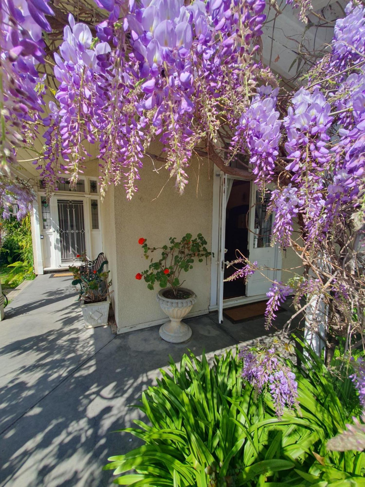 Homestay Grandhome Airport & Shops