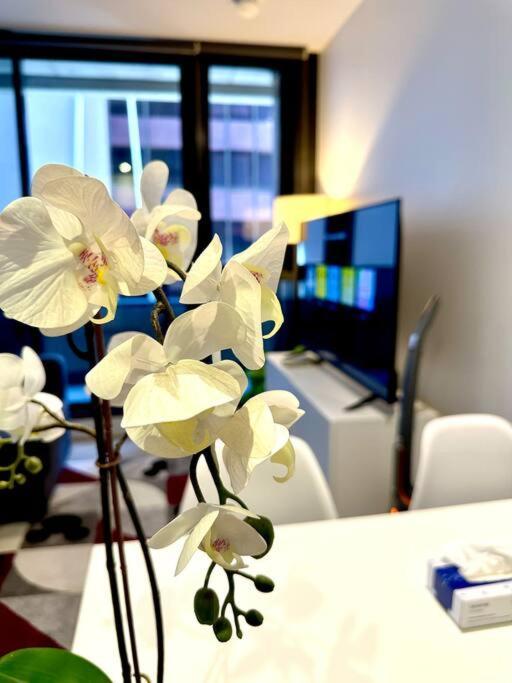 1br Luxe Hideaway Melbourne
