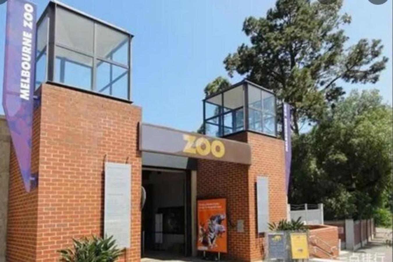 Apartment Close To Mel Uni 2br2ba Parking Balconywifigym Melbourne