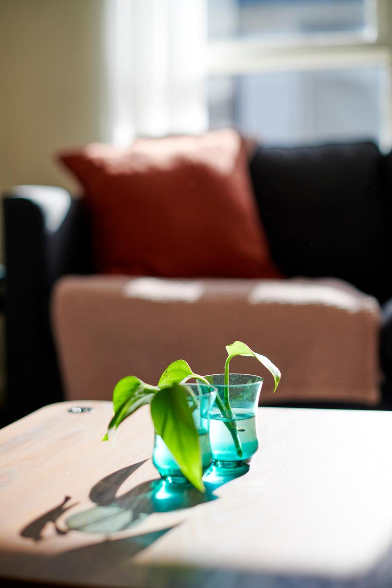 Chic 1br Unit In Vibrant Richmond Apartment
