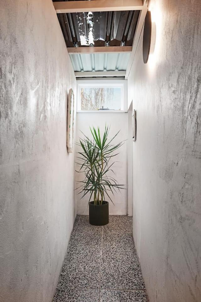 The Retro Soul - Cosy Cbd Refuge For Creative Minds