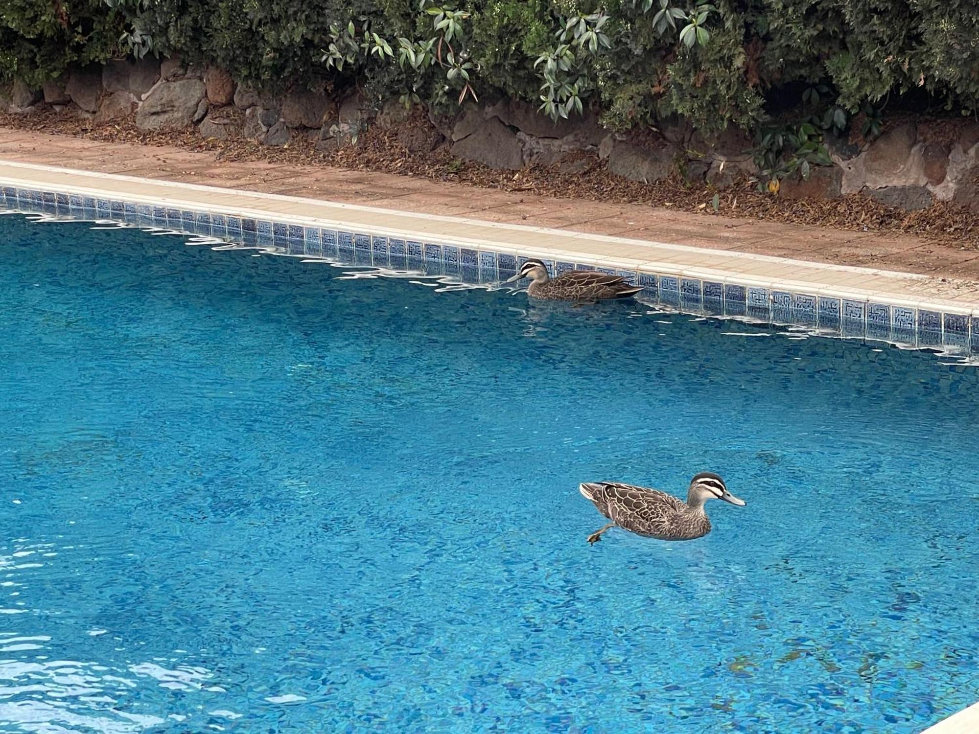 Holiday home Luxury Family Poolside Brighton *