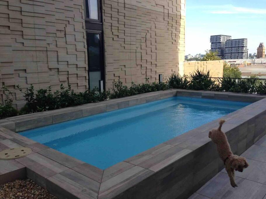 Action In Vibrant Collingwood Fitzroy Apartment *