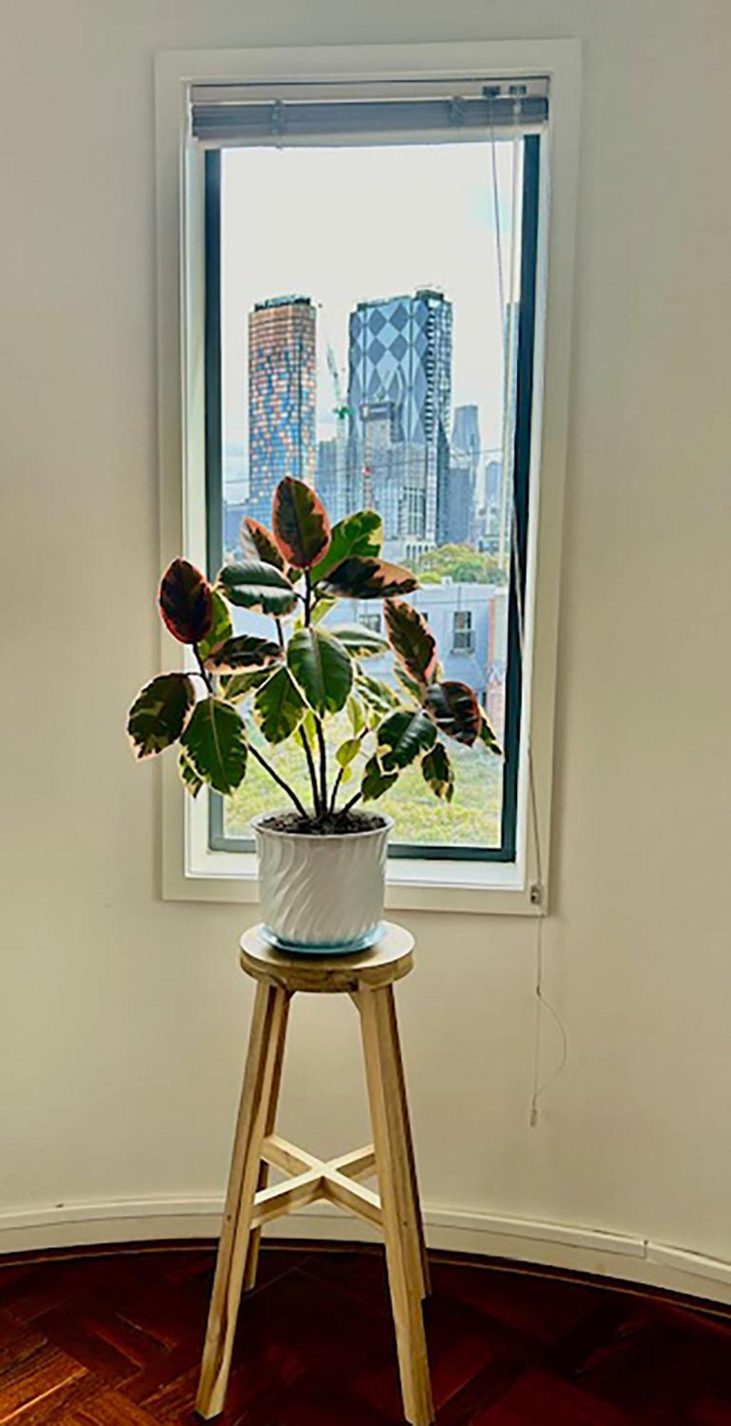 Superb Views - Apartment, Work Or Just Relax! Apartment Melbourne