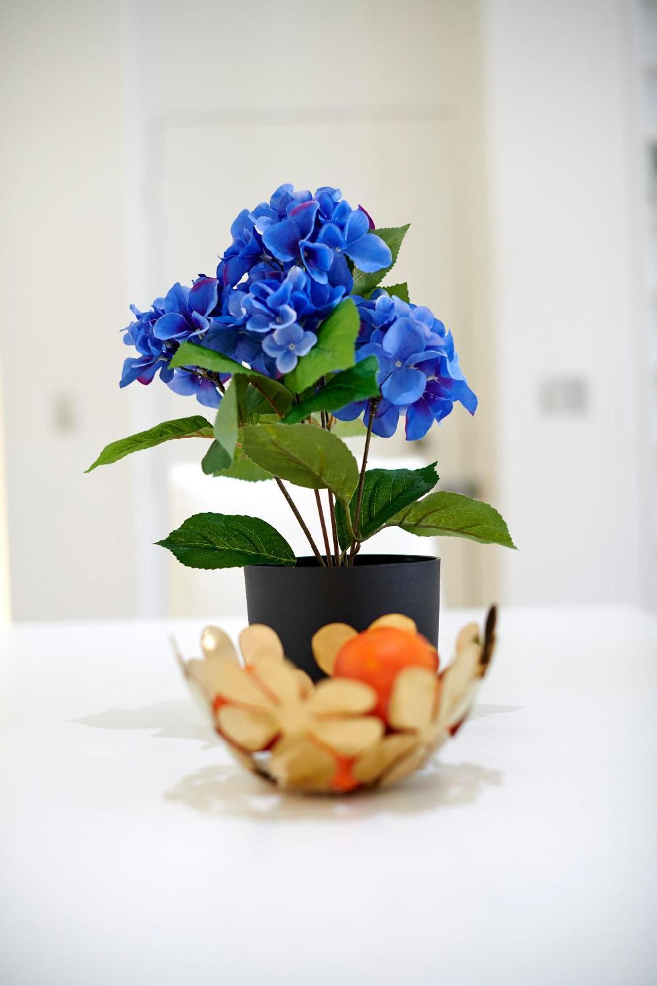 Tribeca Trendsetter Live Like A New Yorker Apartment *