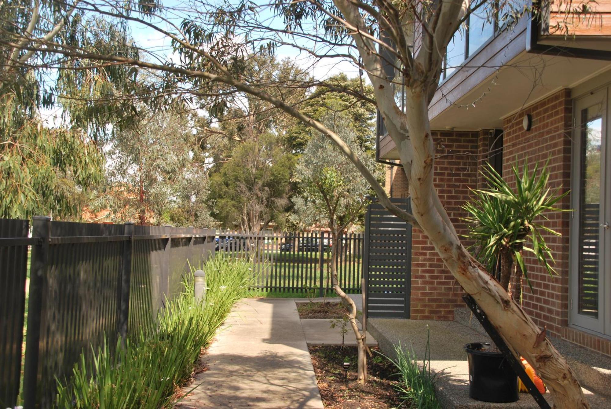 Pascoe Vale South, Vic, Australia With Domi