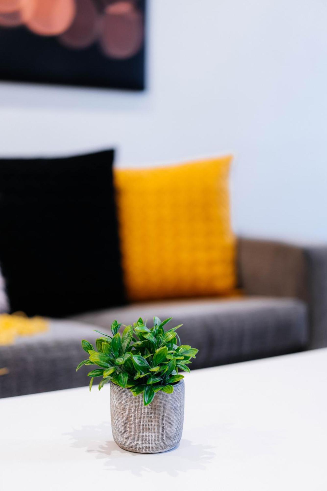 Apartment Cozy Spacious 2b2b Cbd *