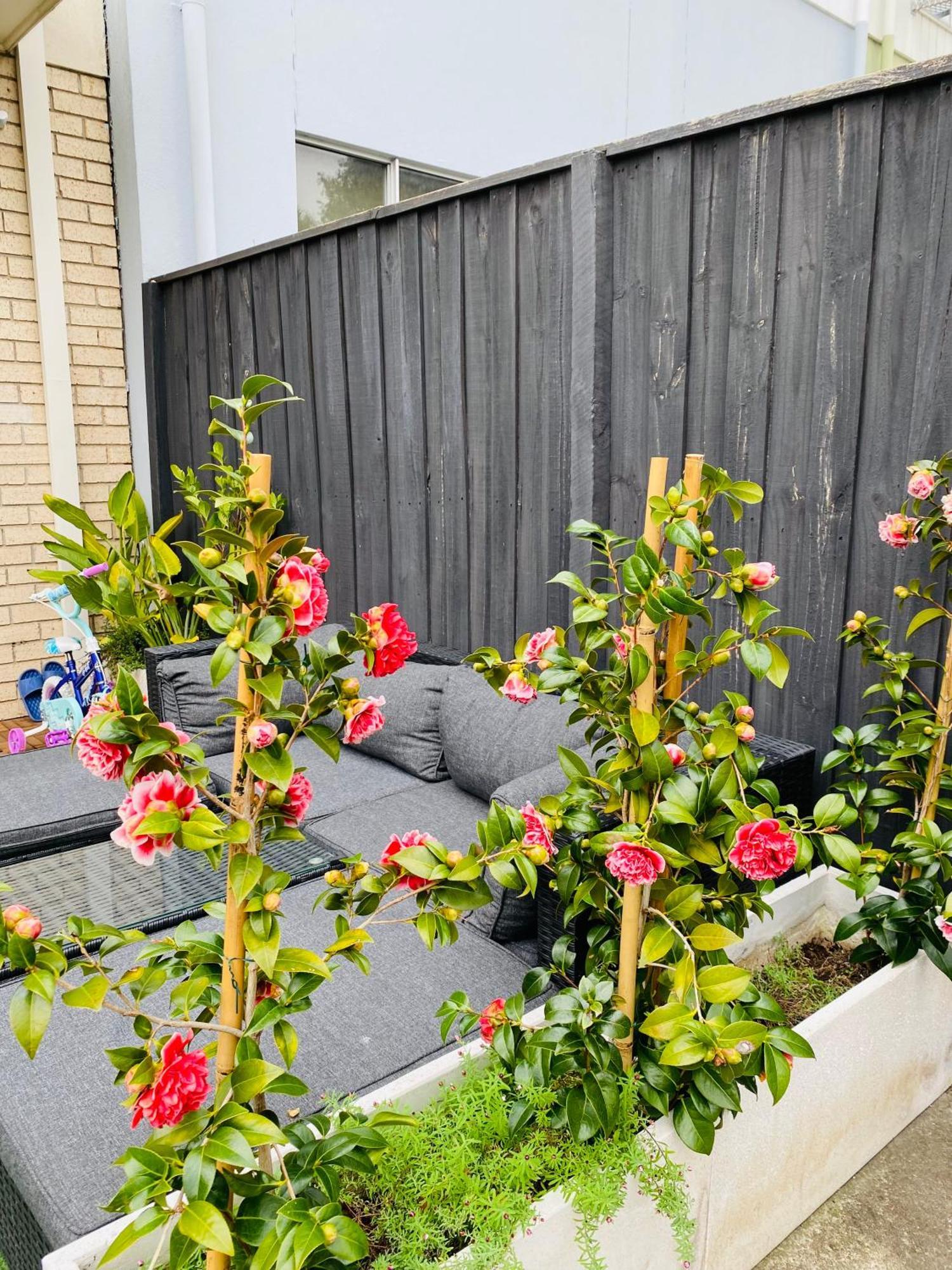 Convenient L Backyard Bbq L Playground L Park View Melbourne