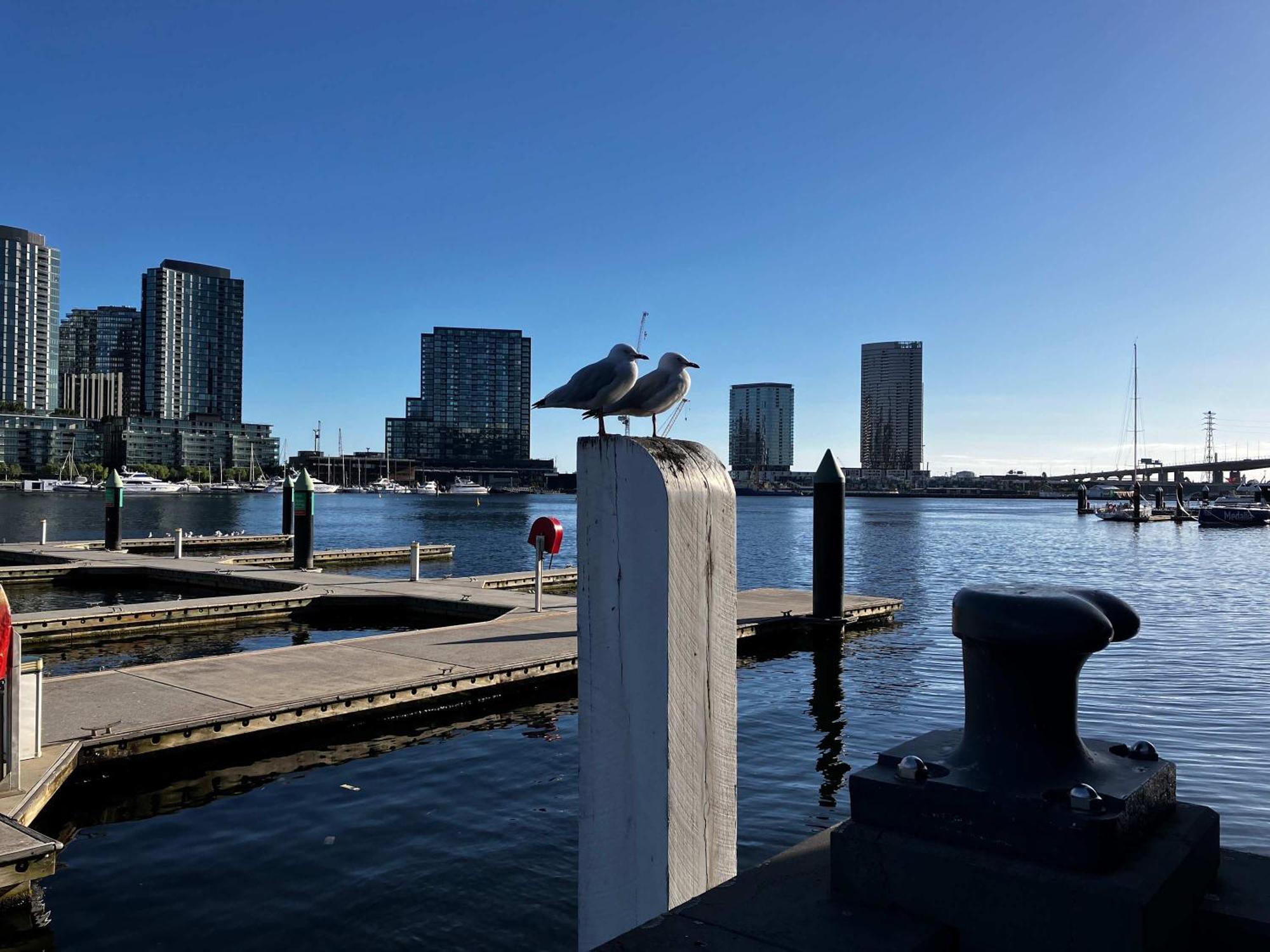 Marina Tower - Stunning Harbour & View Melbourne