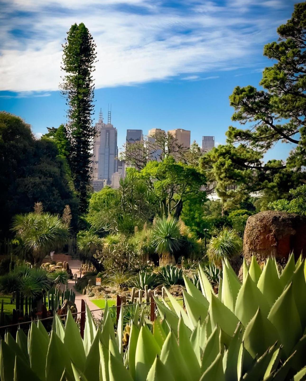 Royal Executive Living Bay N City Luxe Executive Residency Apartment Melbourne