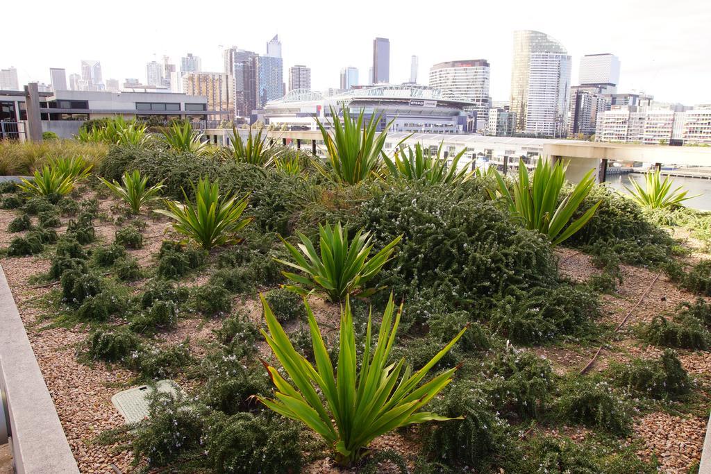 Accent Accommodation@docklands Melbourne
