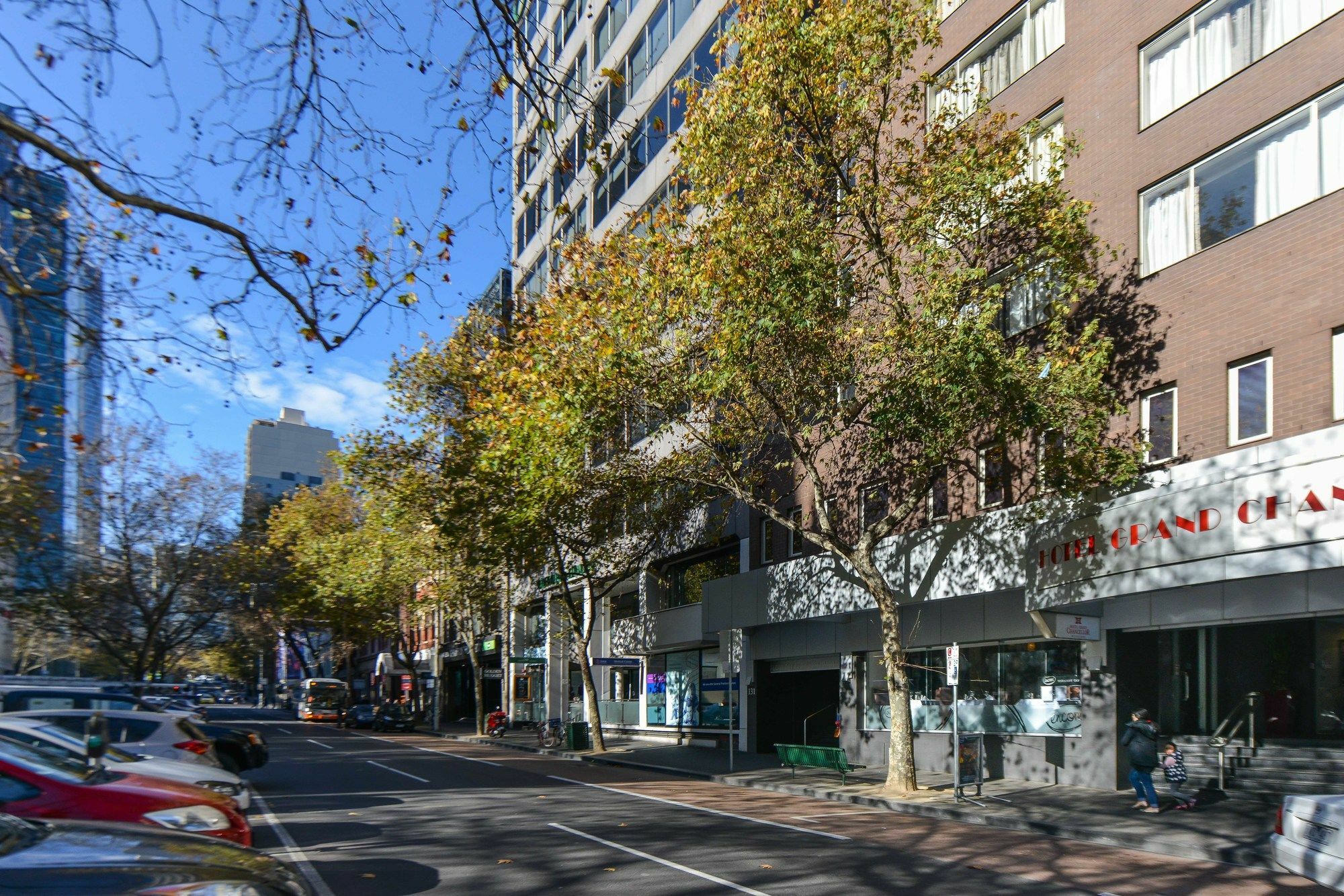 Cbd Vistas *