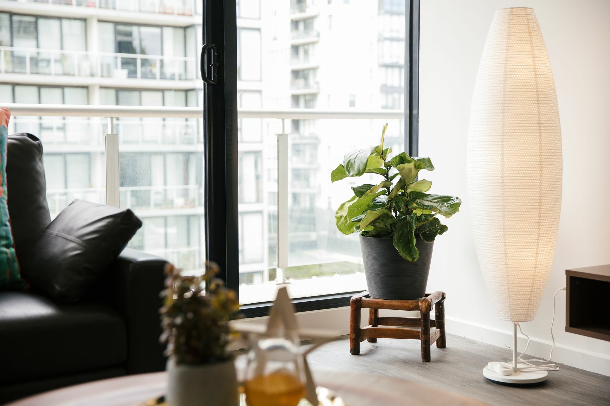 South 2bed 2bath Family Apartment *