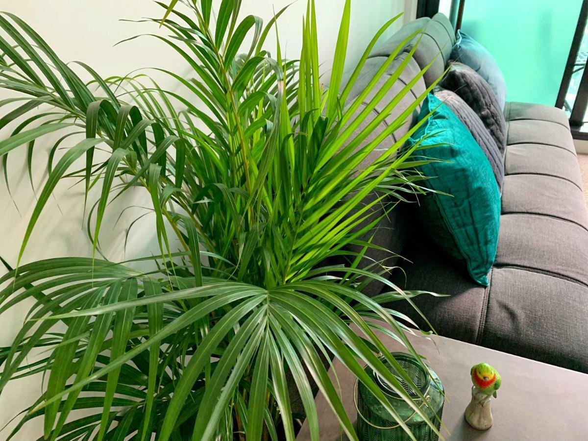Large 2b2b Near Southern Cross Freeparking Gym Pool