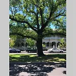 East Melbourne City Studio - Amazing Location & Sunny Charm